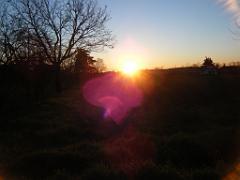 PELERINAGE A SAN DAMIANO  (15)